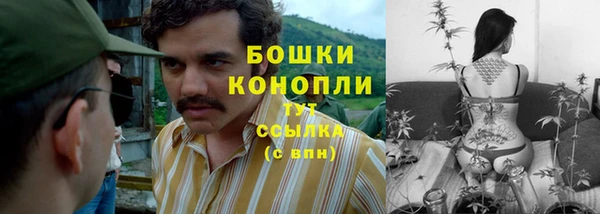 бошки Аркадак